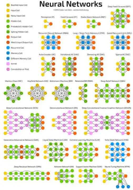 「自定义算法FS」封面