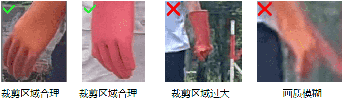 31.png